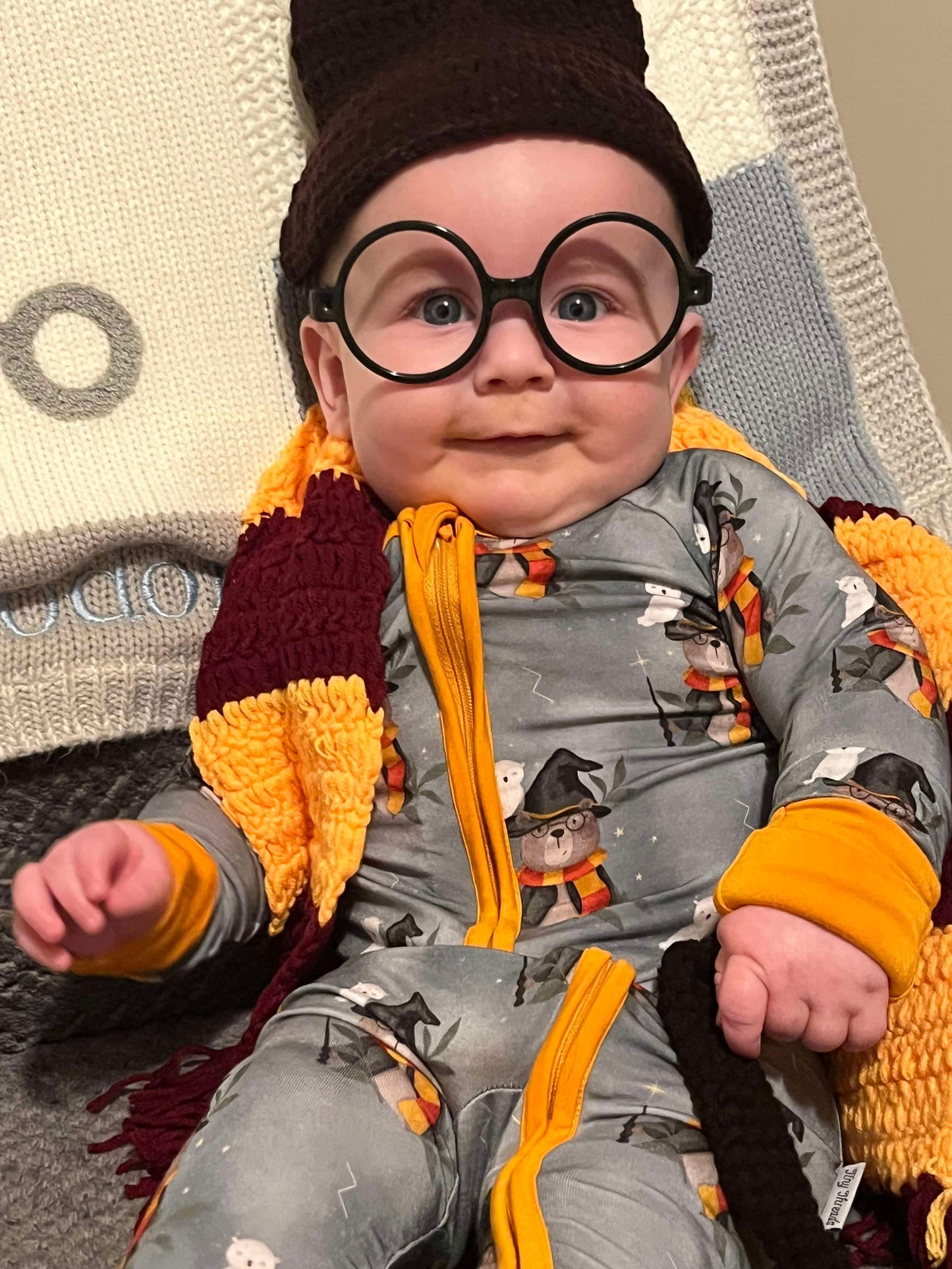 Beary Potter Zippy